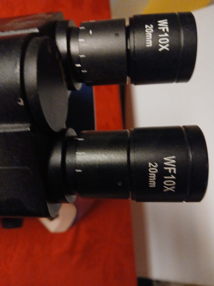 Seiler Microlux IV LED Compound Microscope With 5- Objectives