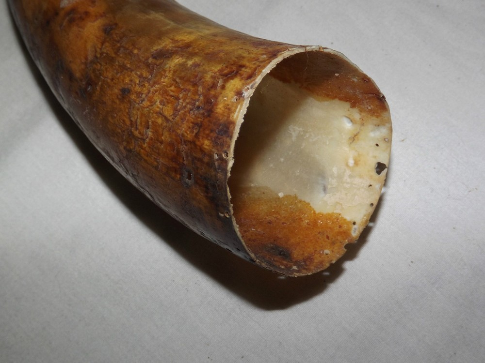 VINTAGE POWDER HORN UNKNOWN YEAR MADE