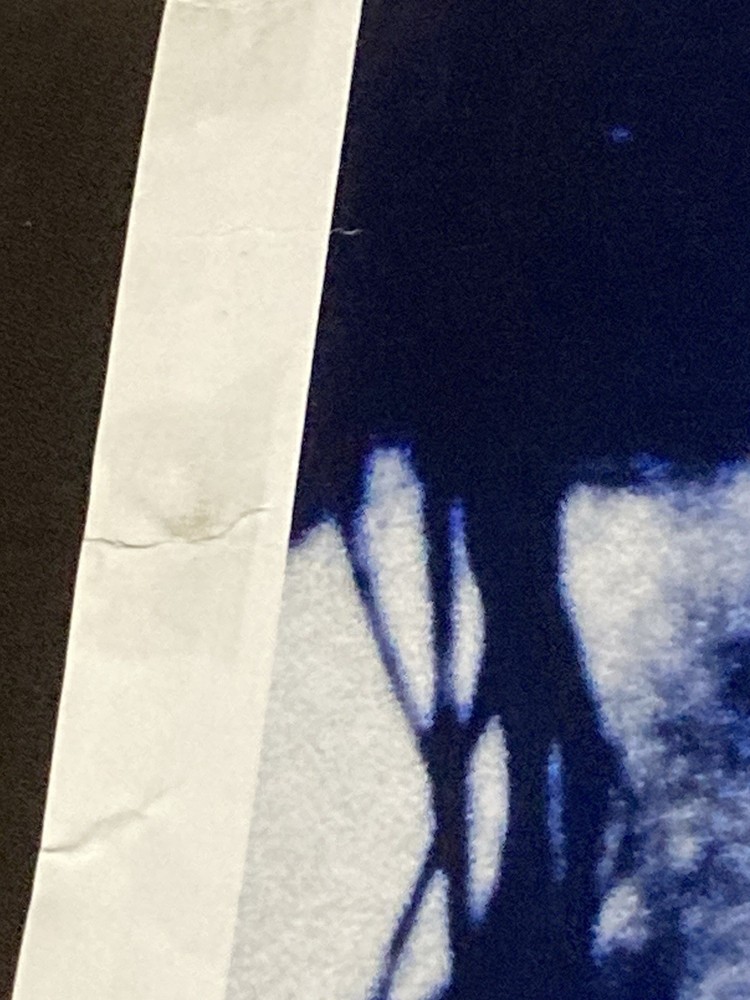 Nirvana 1993 Poster All Apologies GB England