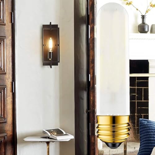 40 Watt T10 Clear Tubular Incandescent Light Bulb, Vintage Style Misty-white-60