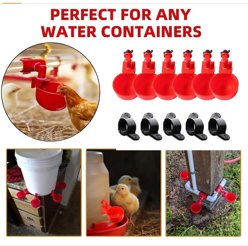 6 PCS Automatic Water Cups Poultry Drinker Waterer Chicken Duck Quail Drinking