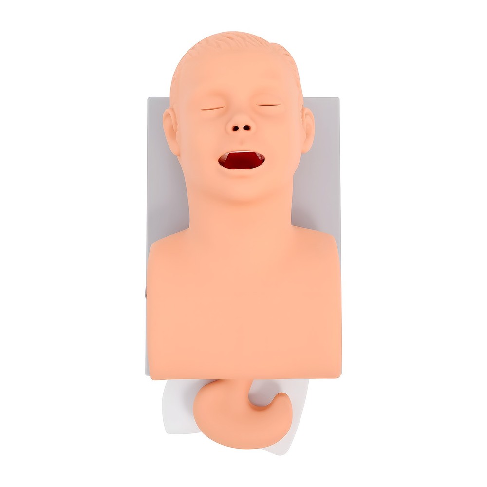 Intubation Manikin Study Teaching Simulator Airway Management Trainer Model