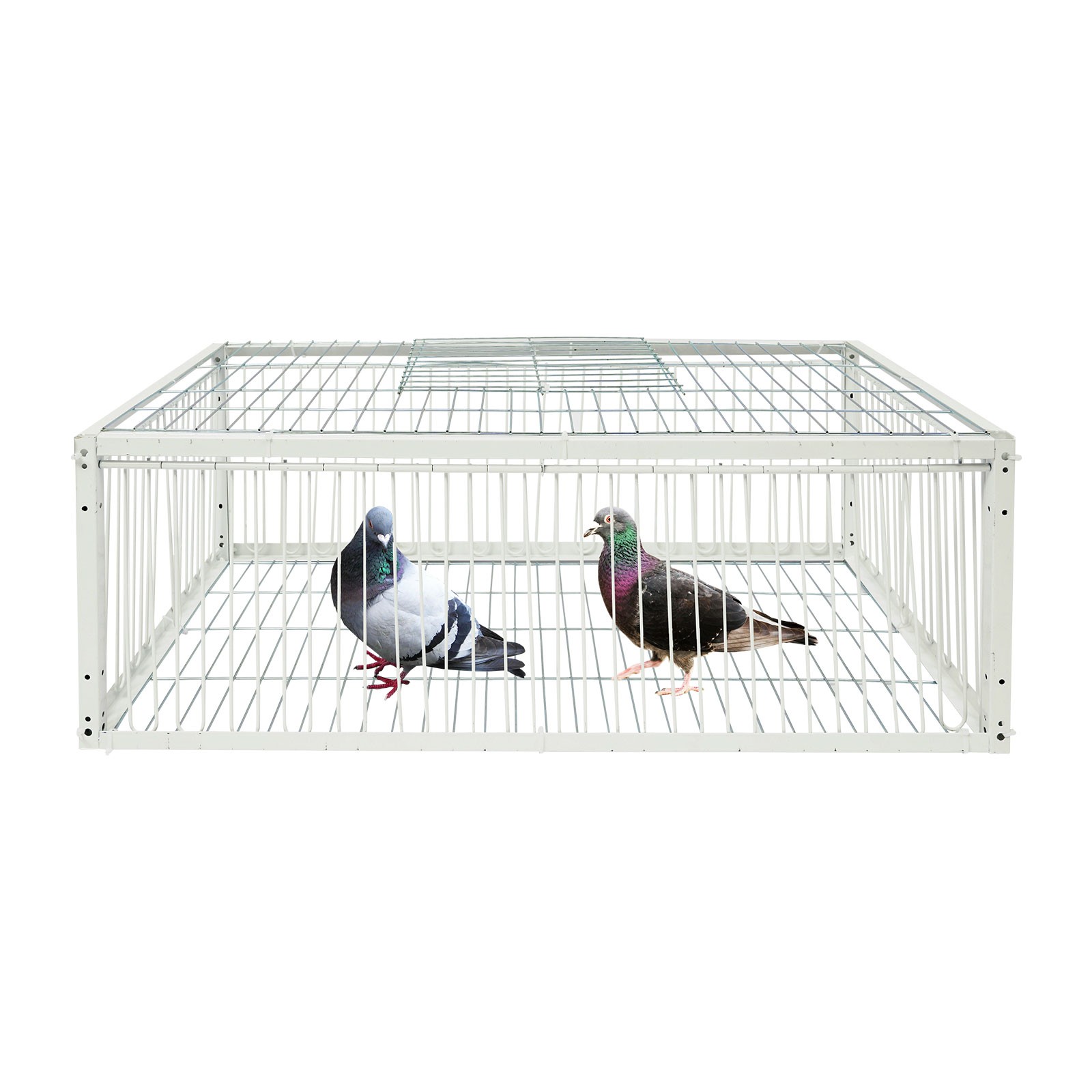 Pigeon Trap Cage, Pigeon Cage, Portable Escape-Proof Pigeon Trap Cage
