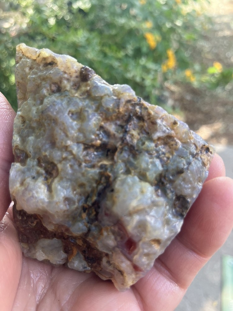 Laguna Agate Specimen (Rough)