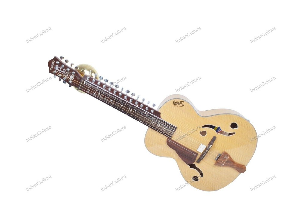 Professional Classical Plucked String Musical Instrument MohanVeena Slide Guitar