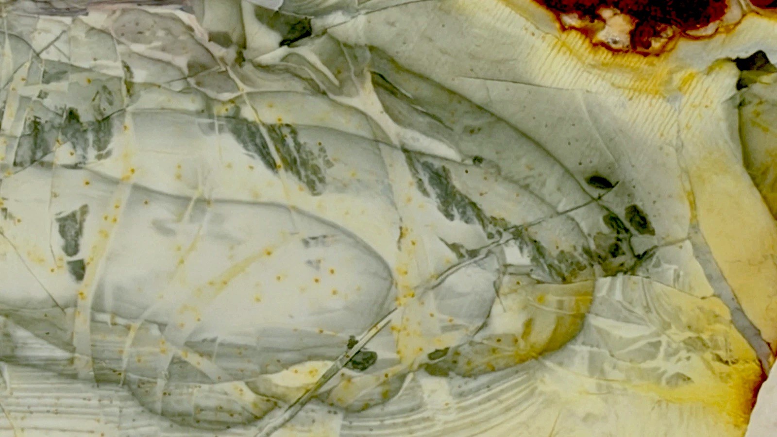 A+ Willow Creek Jasper Slab, Lot #194