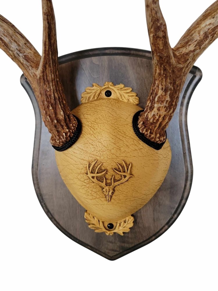 Whitetail Deer Antler Mounting Kit, Solid Wood Plaque, Gray, Includes Hardware