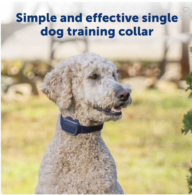 PetSafe® Core Dog Training E-Collar with Remote - Waterproof Bark Collar/Shock