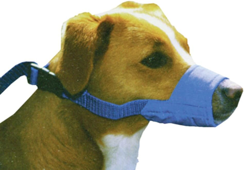 Quick Muzzle XL Blue