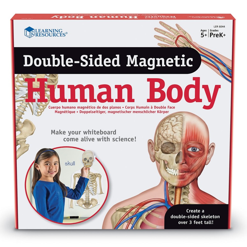 Learning Resources Double-Sided Magnetic Human Body