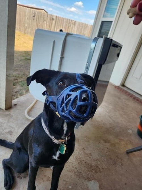 Adjustable Basket Muzzle for Small Medium Large Dogs - Gentle Anti-Bite Solution