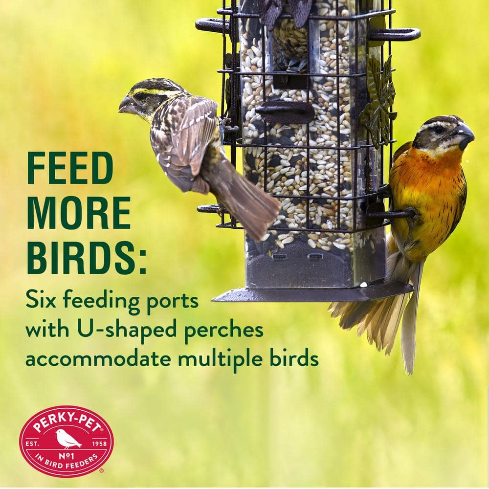 Squirrel-Be-Gone Squirrel Proof Bird Feeder - 2 Lb. Capacity
