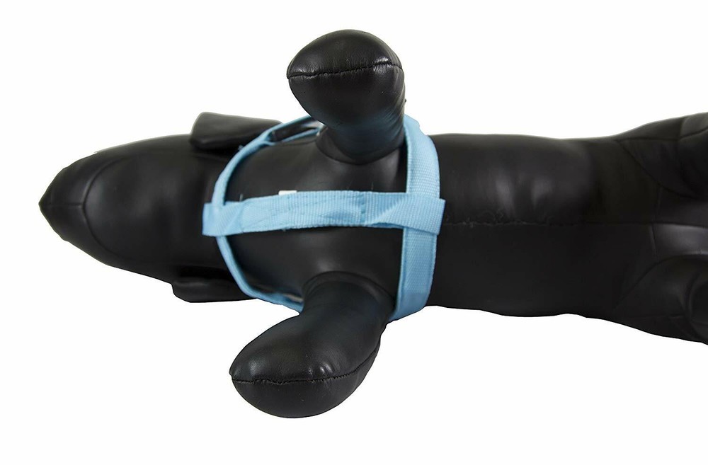 Petcessory LED Step in Harness, Large, Blue