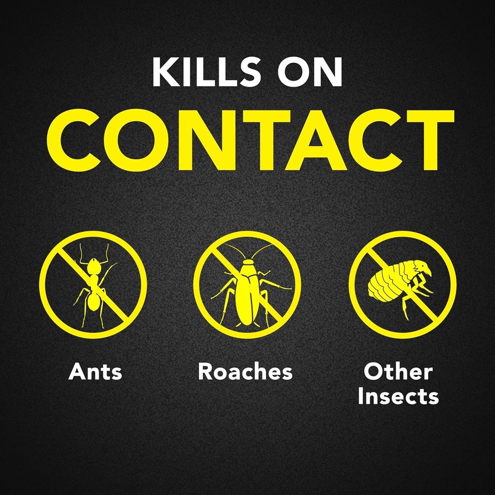 Raid Ant & Roach Killer Spray for Listed Bugs, Keeps Killing for Weeks, Lavender