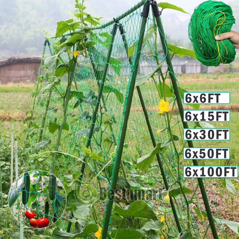Garden Plant Climbing Net Trellis Netting Mesh Support Fruits Veggie Bean US