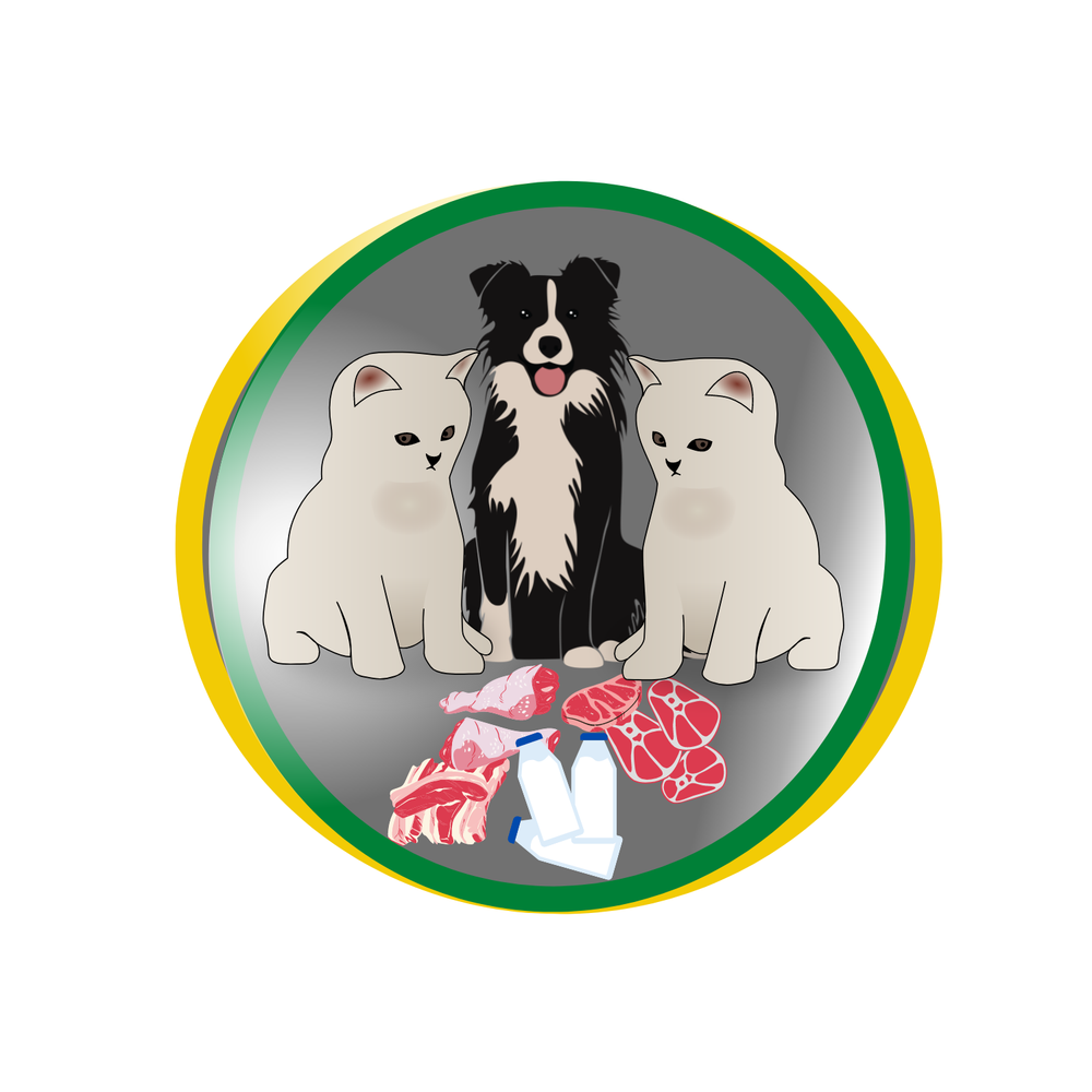 Create a Graphic design logo new design redesign revision