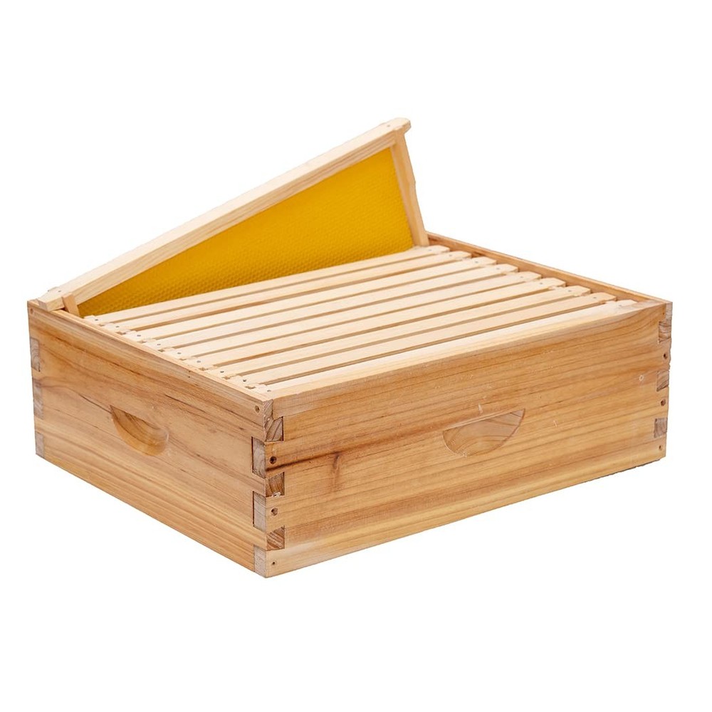 Medium Super Bee Hive Box with Frames and Waxed Foundations for Beginners