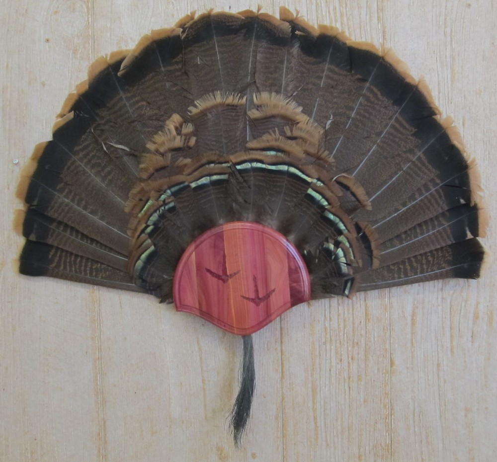 Solid Cedar Turkey Fan / Beard Mounting Kit -01 with Carved Tracks