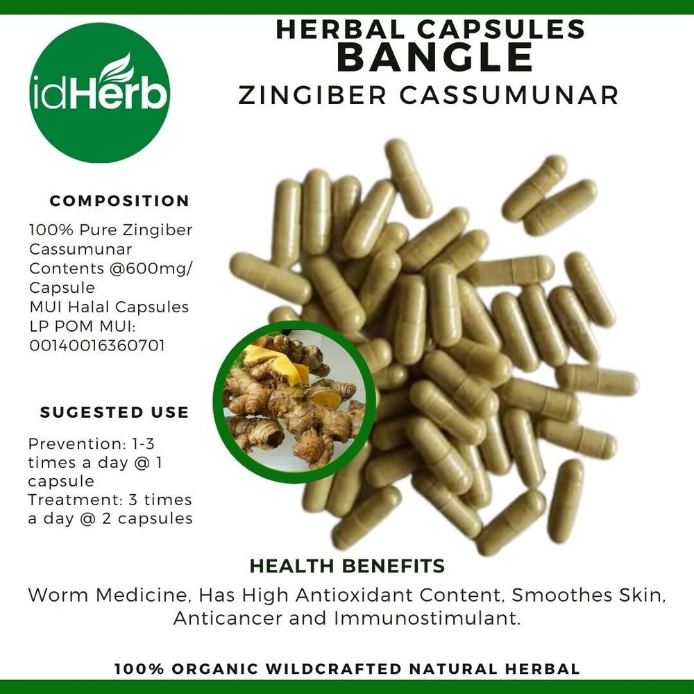 Capsules Zingiber  Cassmunar Bangle Natural herbal Organic 100% Herbs