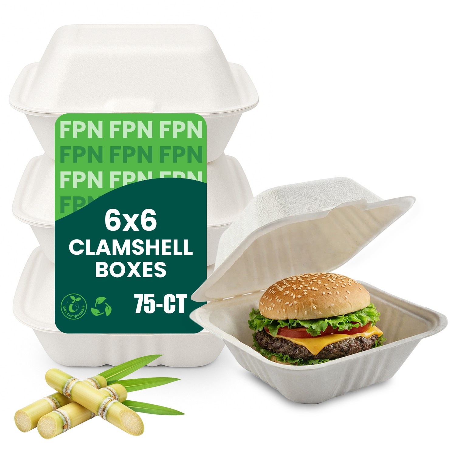 75/150 pcs Disposable Clamshell Compostable Paper Takeout Boxes-6"8"9" - FPN