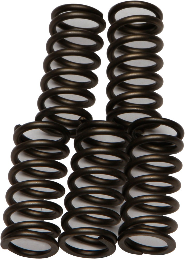 EBC CSK Clutch Spring Kit CSK176
