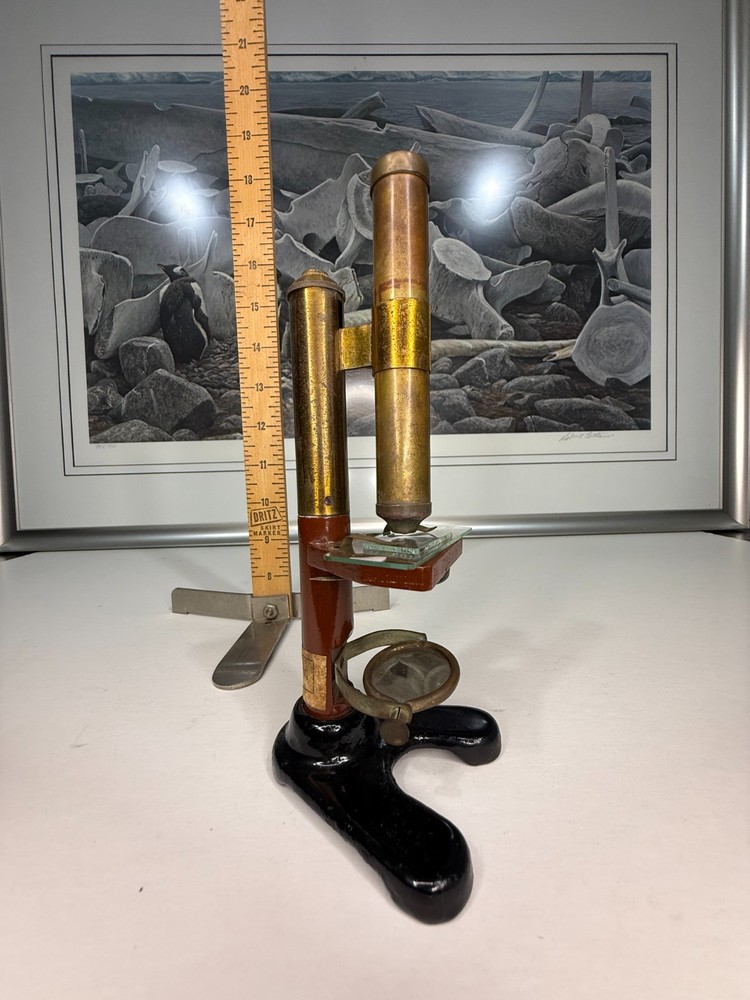 Pre 1900 Japanese 亚洲 Rare Microscope 显微镜 古董