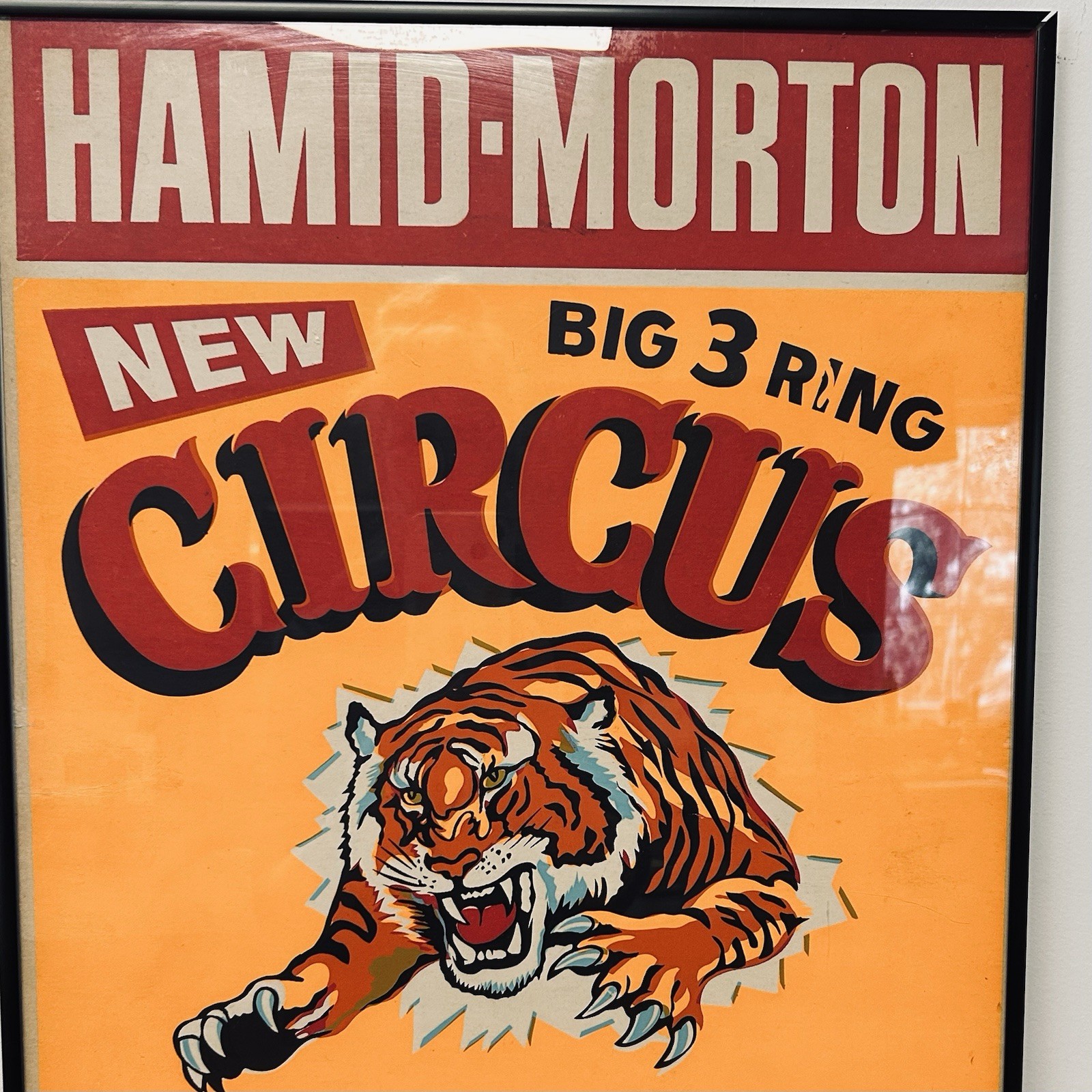 Vtg Hamid Morton Circus Poster Harrisburg PA Zembo Temple 1950s Americana Tiger