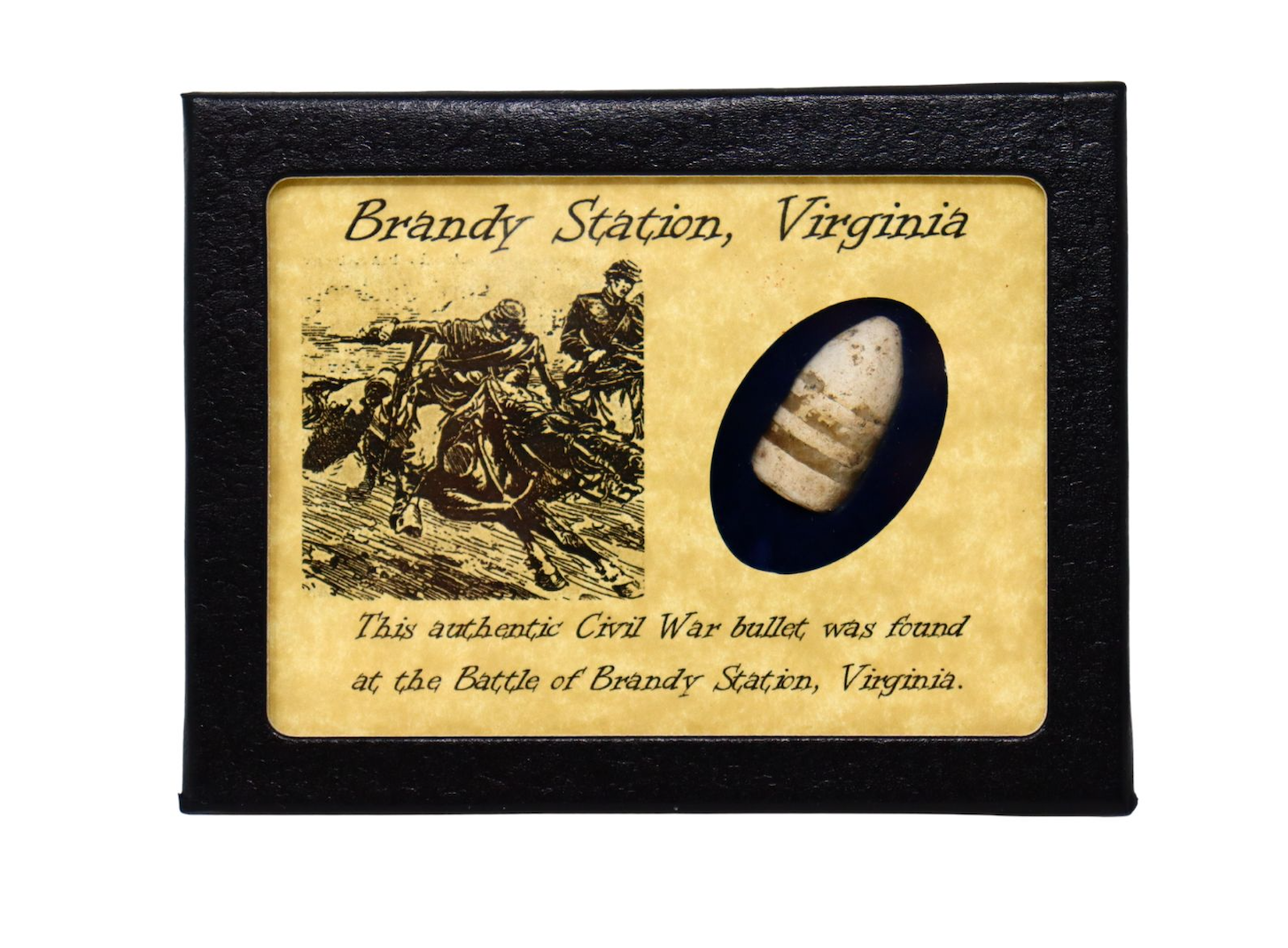 Civil War Bullet from The Battle at Brandy Station VA with Display Case and COA