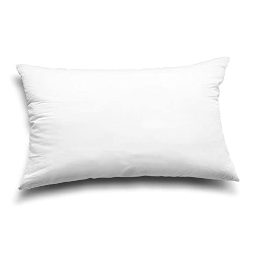Throw Pillow Inserts, Set of 2 Lightweight Down Alternative Polyester White