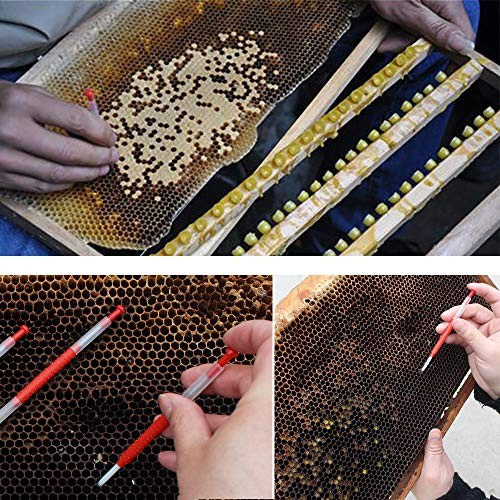 Queen bee Grafting Tool 10pcs Beekeeping MovingTools Shift Needle Beekeeper