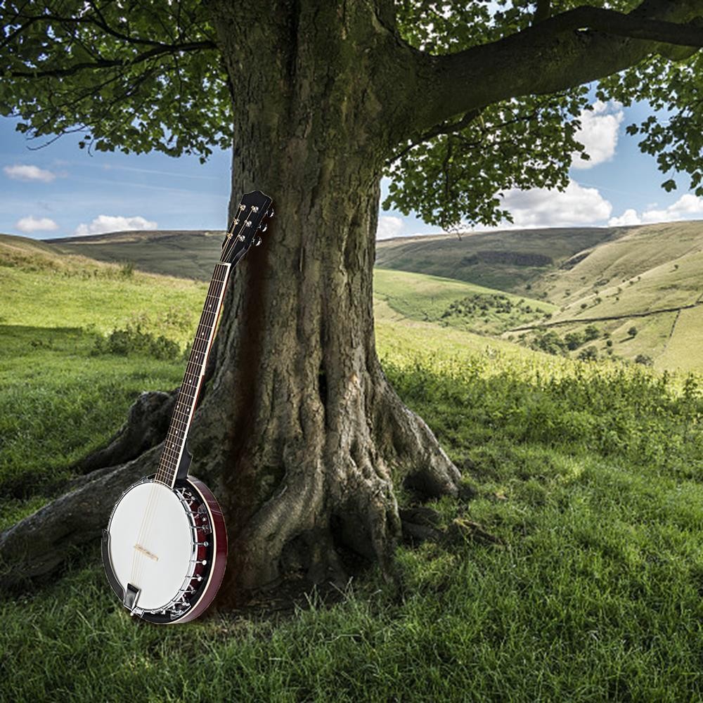 6 String Geared Tunable Banjo 24 Brackets Closed Back Remo Head for Beginner