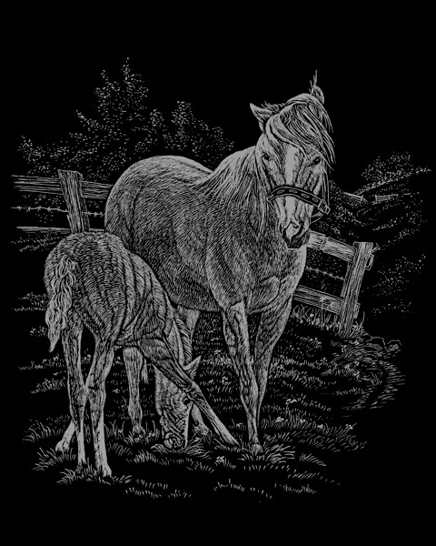 Silver Foil Engraving Art Kit 8"X10" Mare & Foal