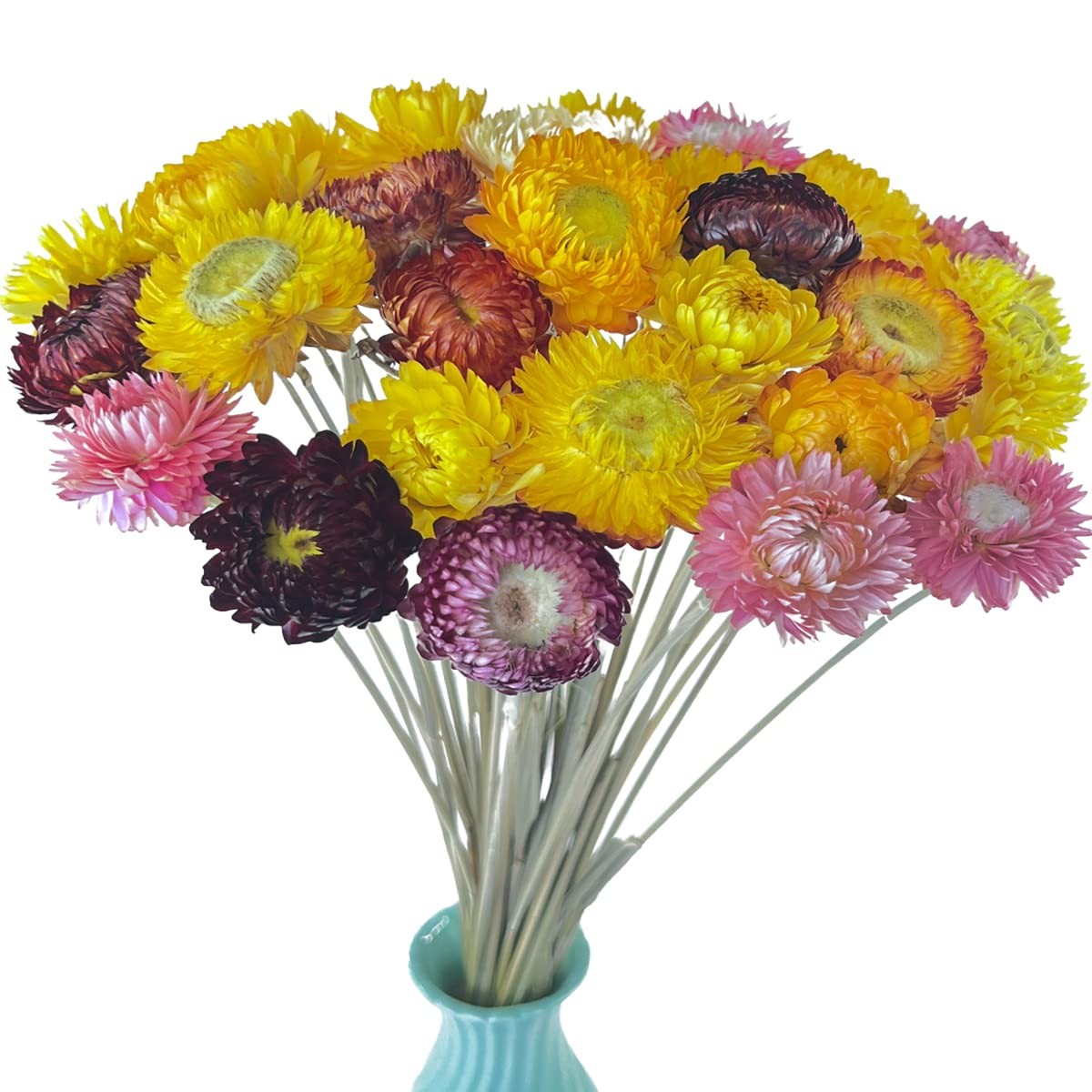 TooGet 40 Pcs Natural Dried Daisies, Daisy Flowers Bouquet with