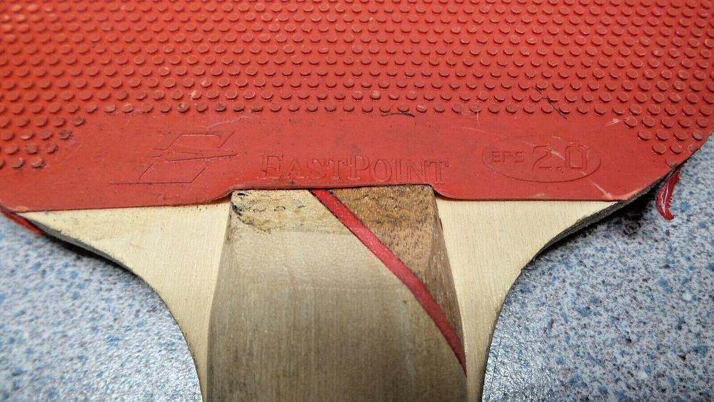Eastpoint Ping Pong Paddle EPS 2.0 (A)