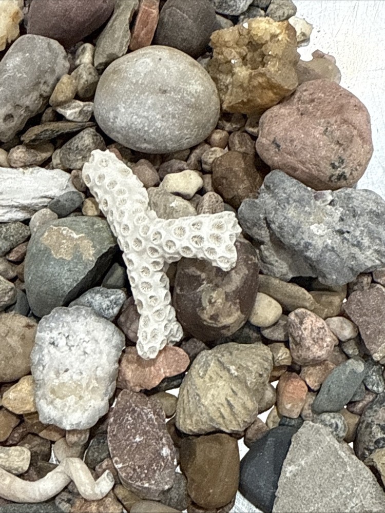 Collectable Rocks & Corral