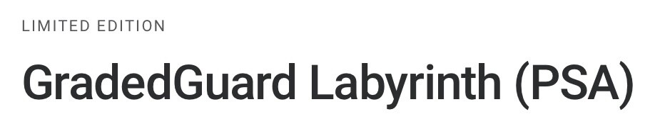 GradedGuard PSA Graded Card Case Guard Protector LABYRINTH Limited Edition