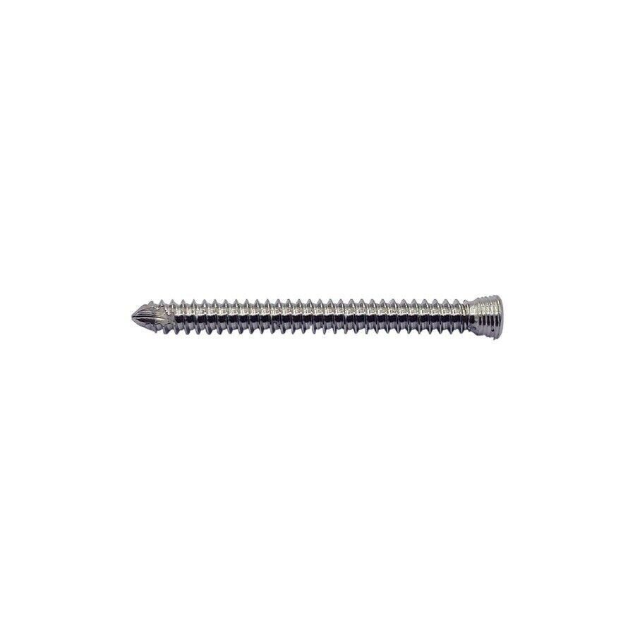 2.0 mm Locking Screw Self Tepping Different Lengths 100 PC Instruments