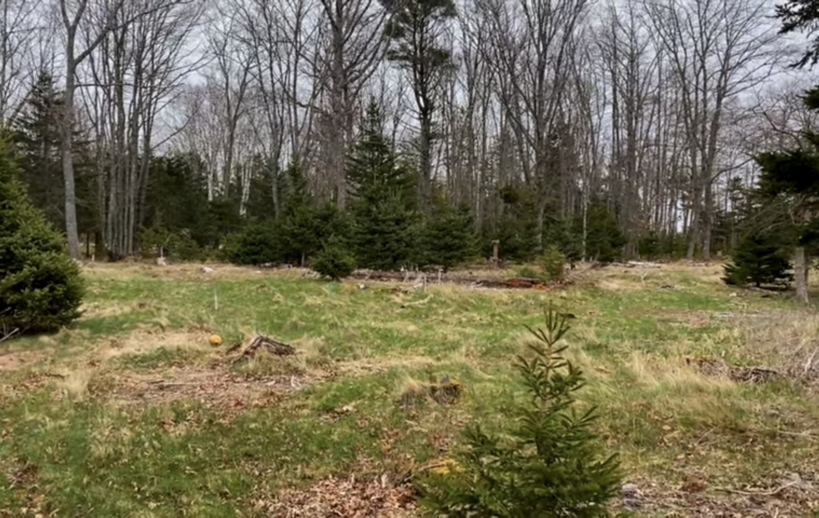 Oak Island Nova Scotia Sand Sample Mohone Bay