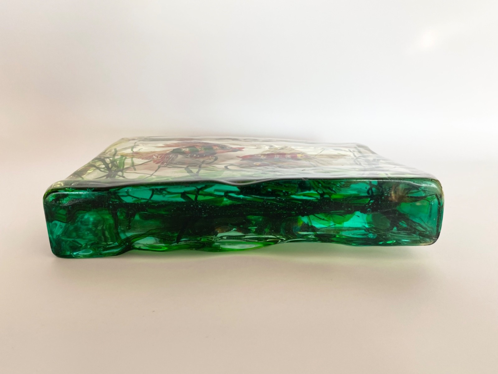 Exceptional Alfredo Barbini Cenedese Murano Glass Fish Aquarium Sculpture 14 LBS