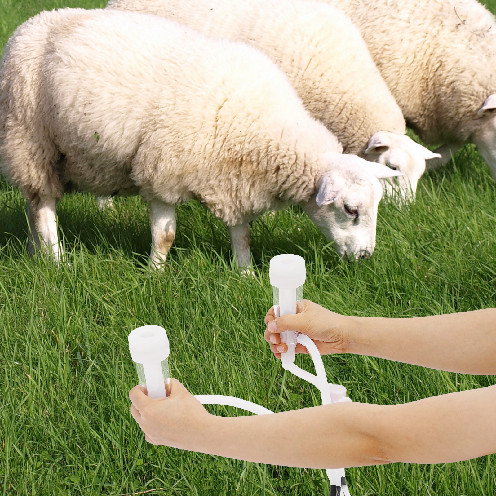 Pulsation Electric Cow Milking Machine Milking Equipment 10L Stainless Steel