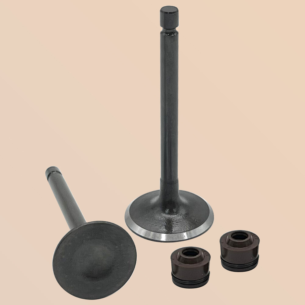 Engine Intake & Exhaust Valves for Yamaha TTR125 TTR125E TTR125EL 2000-2018