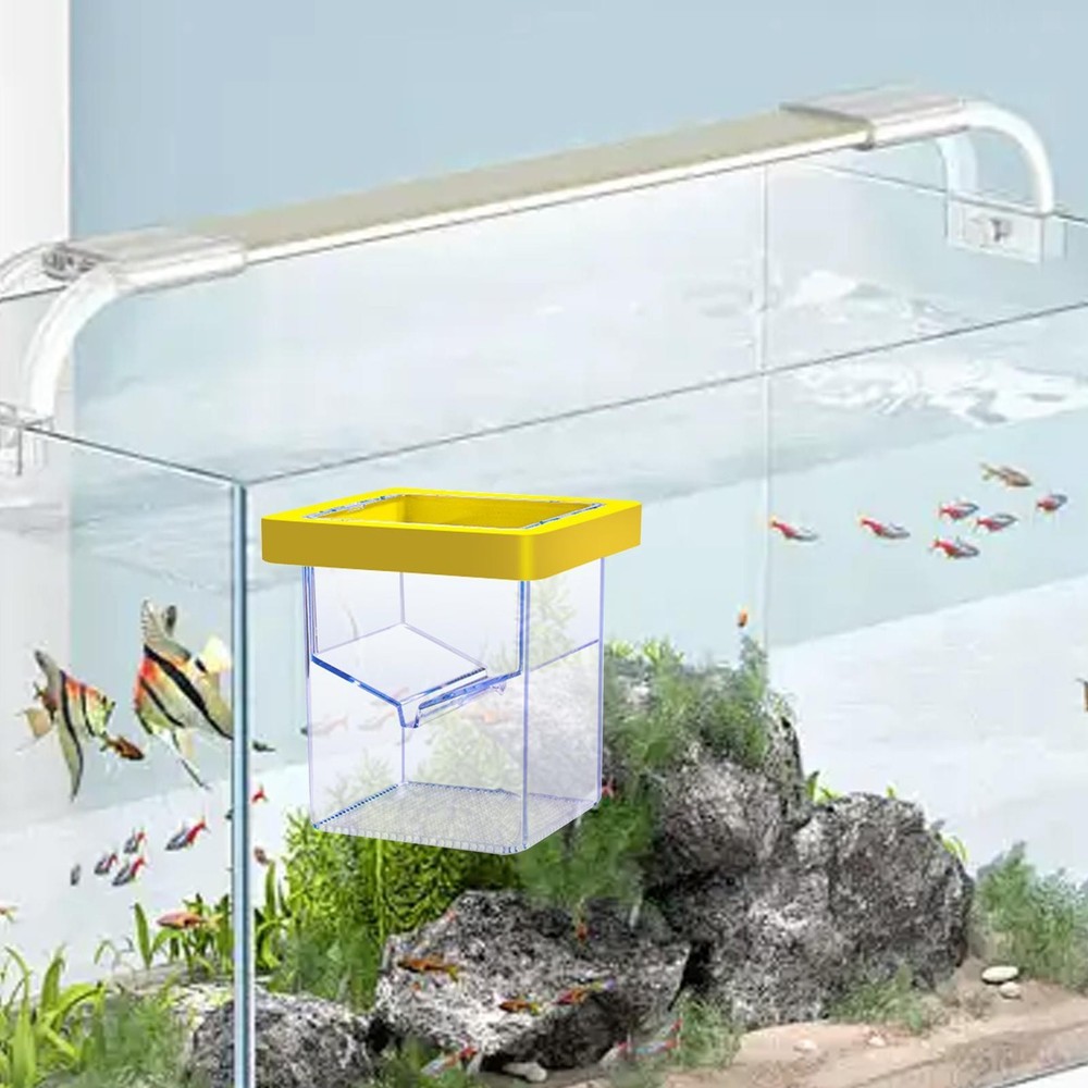 Breeder Box Incubator Tank Hatchery