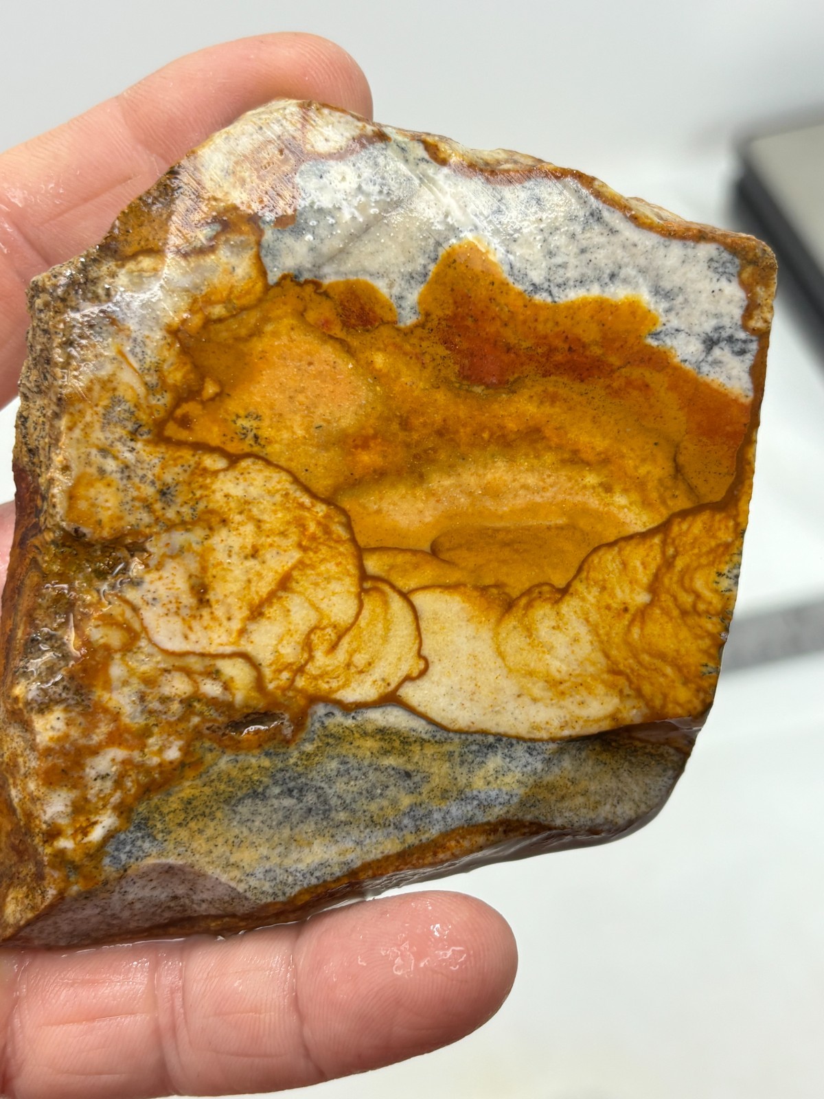 Disaster Peak Picture Jasper Cabbing Lapidary Collecting Combo Ship Avail