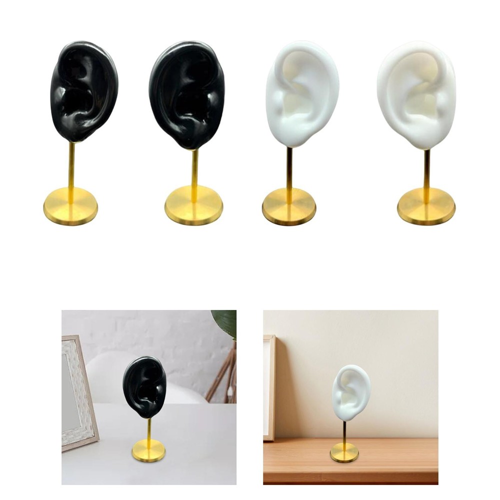 Earring Display Stand Human Ear Model Teaching Tools Desktop Decor Stable