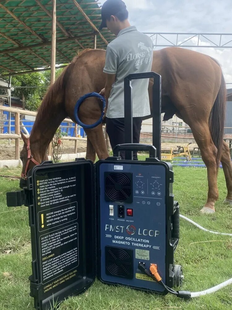 HOT PMST LOOP PEMF Electromagnetic Therapy System US Warehouse Ship