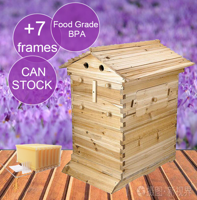 Auto Honey Hive Beehive Frames House 7 Beehive Frames Honeycomb Bee Hive Boxes