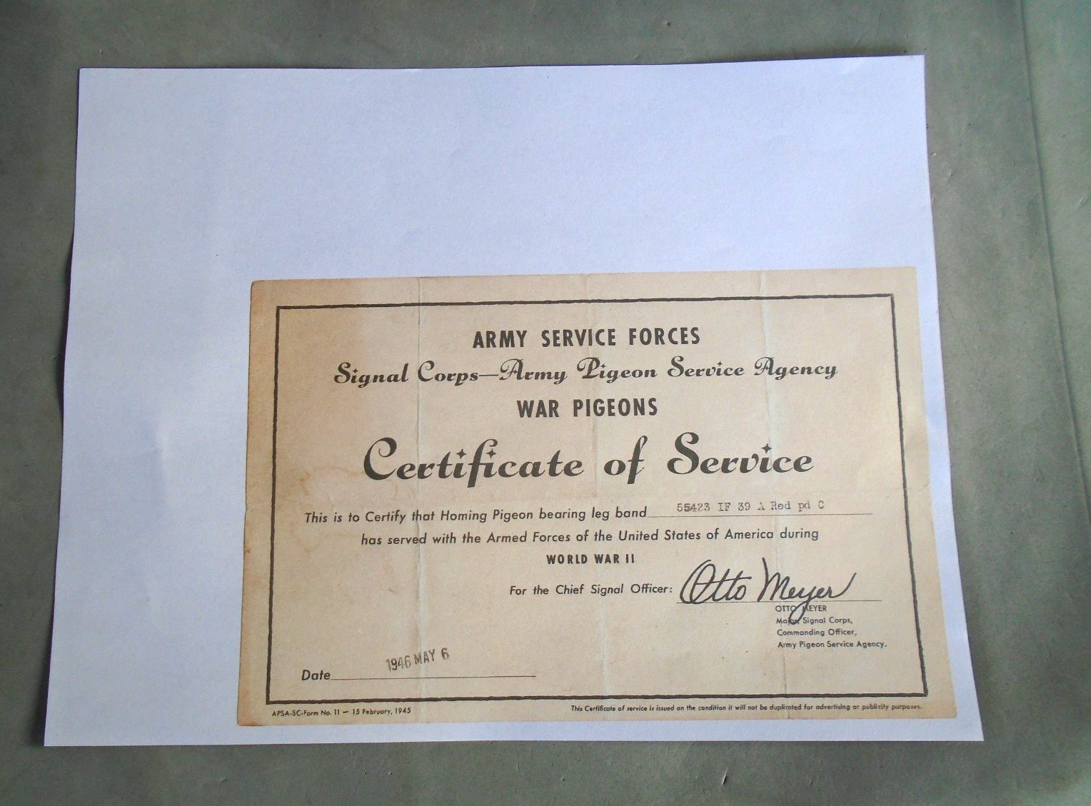 WWII US Army Signal Corps pigeon certificate of service COPY