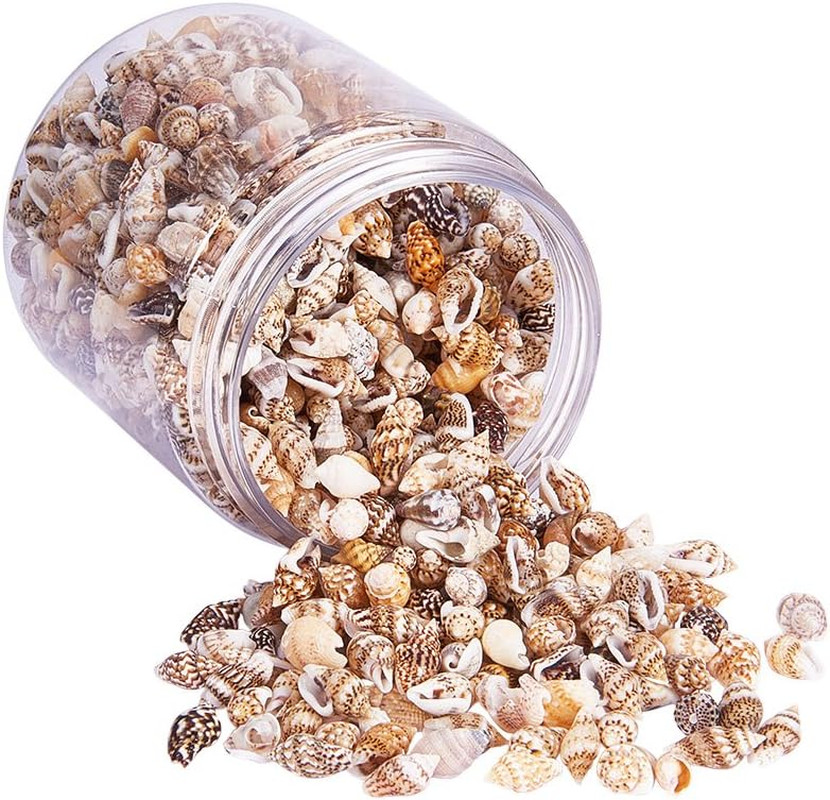 1400-1500Pcs Tiny Sea Shells 7-12Mm Tiny Crushed Shells Miniature Shell NO Hole