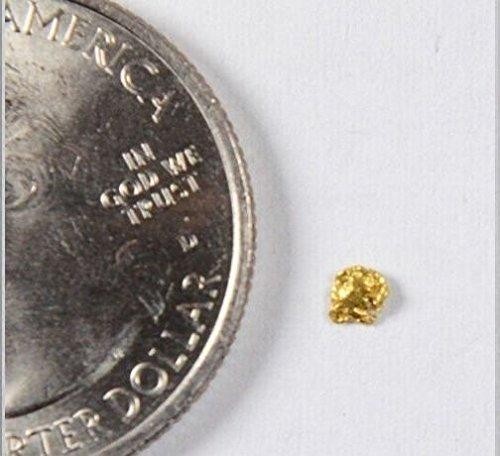 Alaskan-Yukon BC Gold Rush Natural Gold Nugget 0.07 Grams Genuine