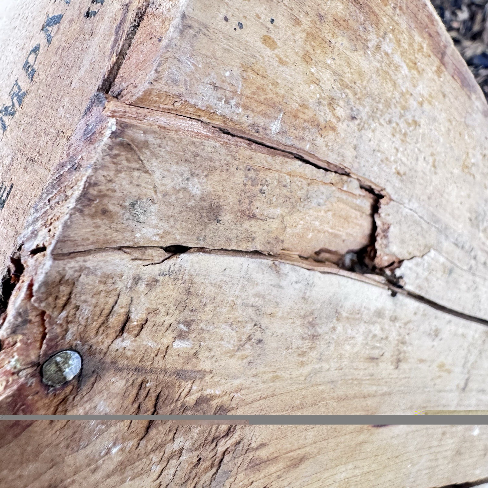 Vintage Hercules Powder Co. Blasting Caps Wood Crate Mining High Explosives Box